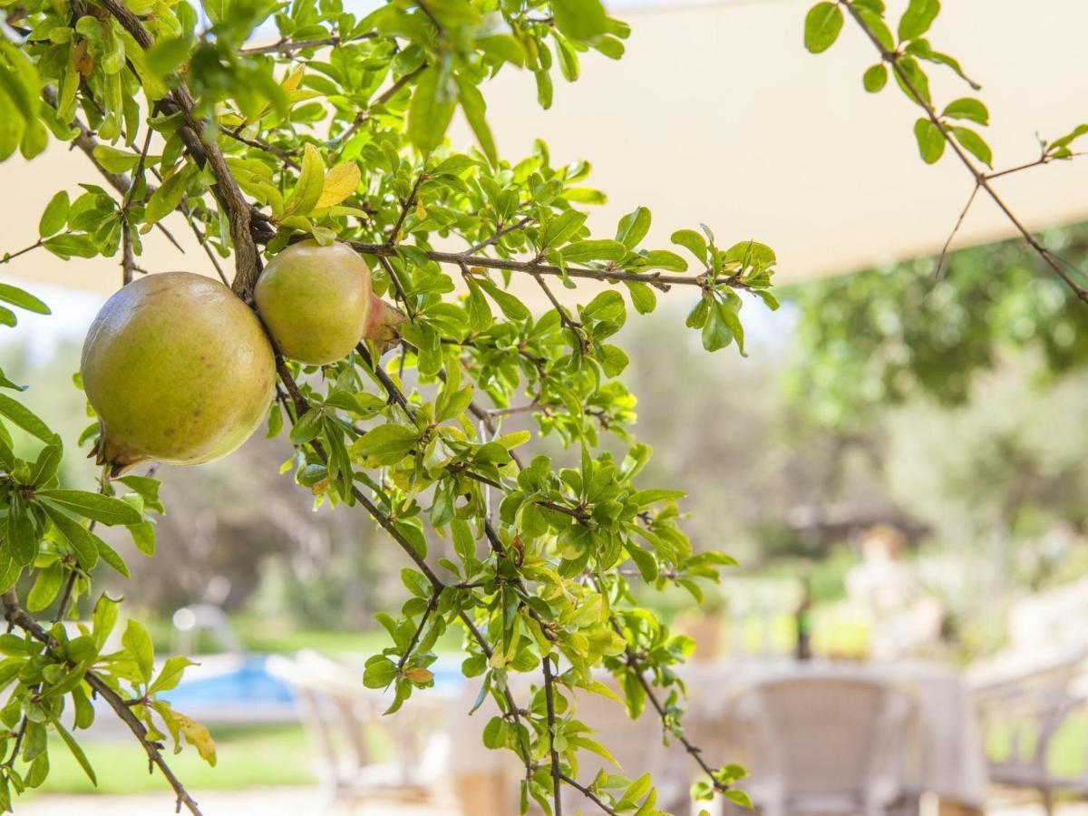 Hébergement de vacances Es Garrover - With Private Pool In Cala Millor Free Wifi *
